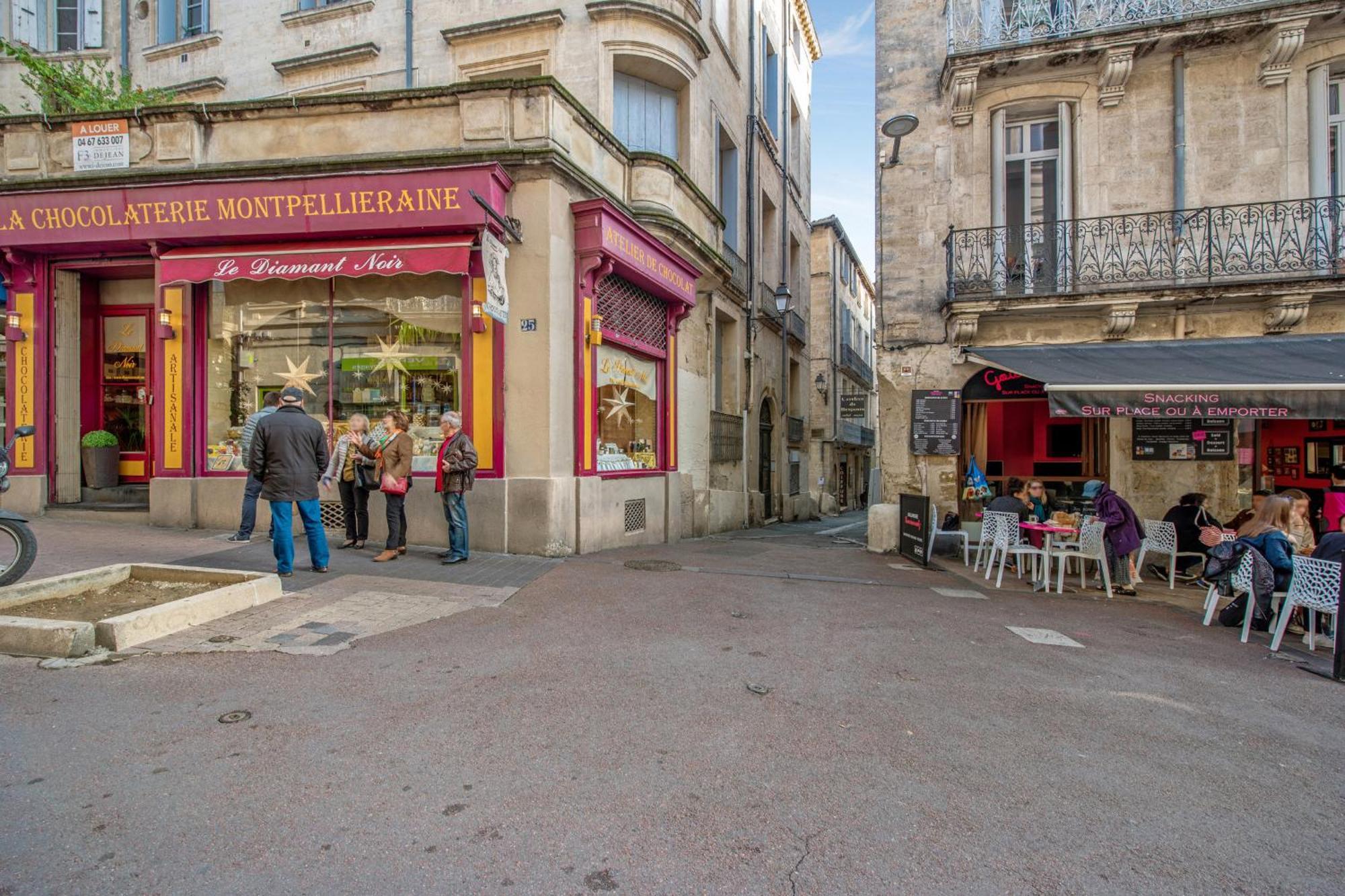 Le Nid De Saint-guilhem - Premiere Conciergerie * Montpellier